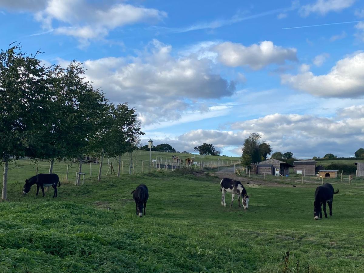 Fairview Farm Holiday Accommodation 14 Luxury Lodges, Cabins, Dog Friendly, Suitable For Couples, Families And Groups, Wedding Guests , Corporate Events, Sleeps 2-65 Guests In Ravenshead, Nottingham Near Sherwood Forest, Set In 88 Acres Esterno foto