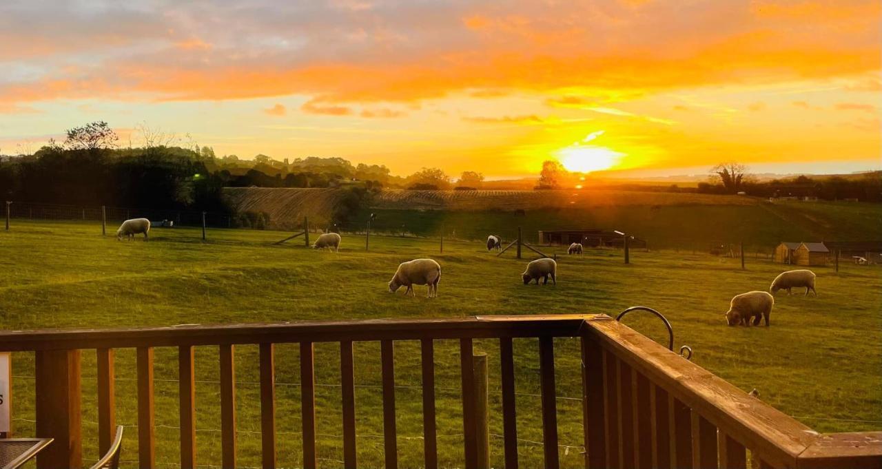 Fairview Farm Holiday Accommodation 14 Luxury Lodges, Cabins, Dog Friendly, Suitable For Couples, Families And Groups, Wedding Guests , Corporate Events, Sleeps 2-65 Guests In Ravenshead, Nottingham Near Sherwood Forest, Set In 88 Acres Esterno foto