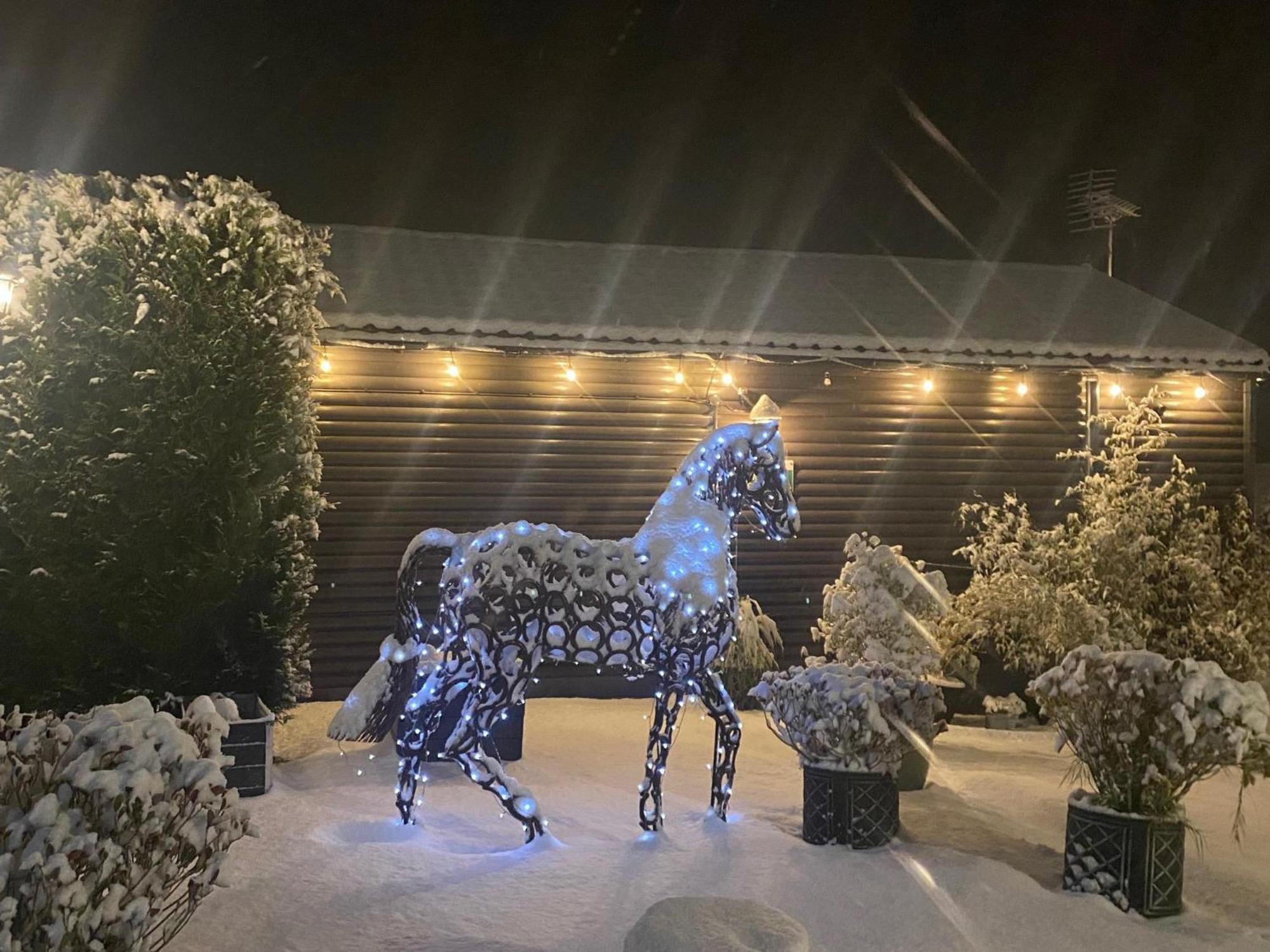 Fairview Farm Holiday Accommodation 14 Luxury Lodges, Cabins, Dog Friendly, Suitable For Couples, Families And Groups, Wedding Guests , Corporate Events, Sleeps 2-65 Guests In Ravenshead, Nottingham Near Sherwood Forest, Set In 88 Acres Esterno foto