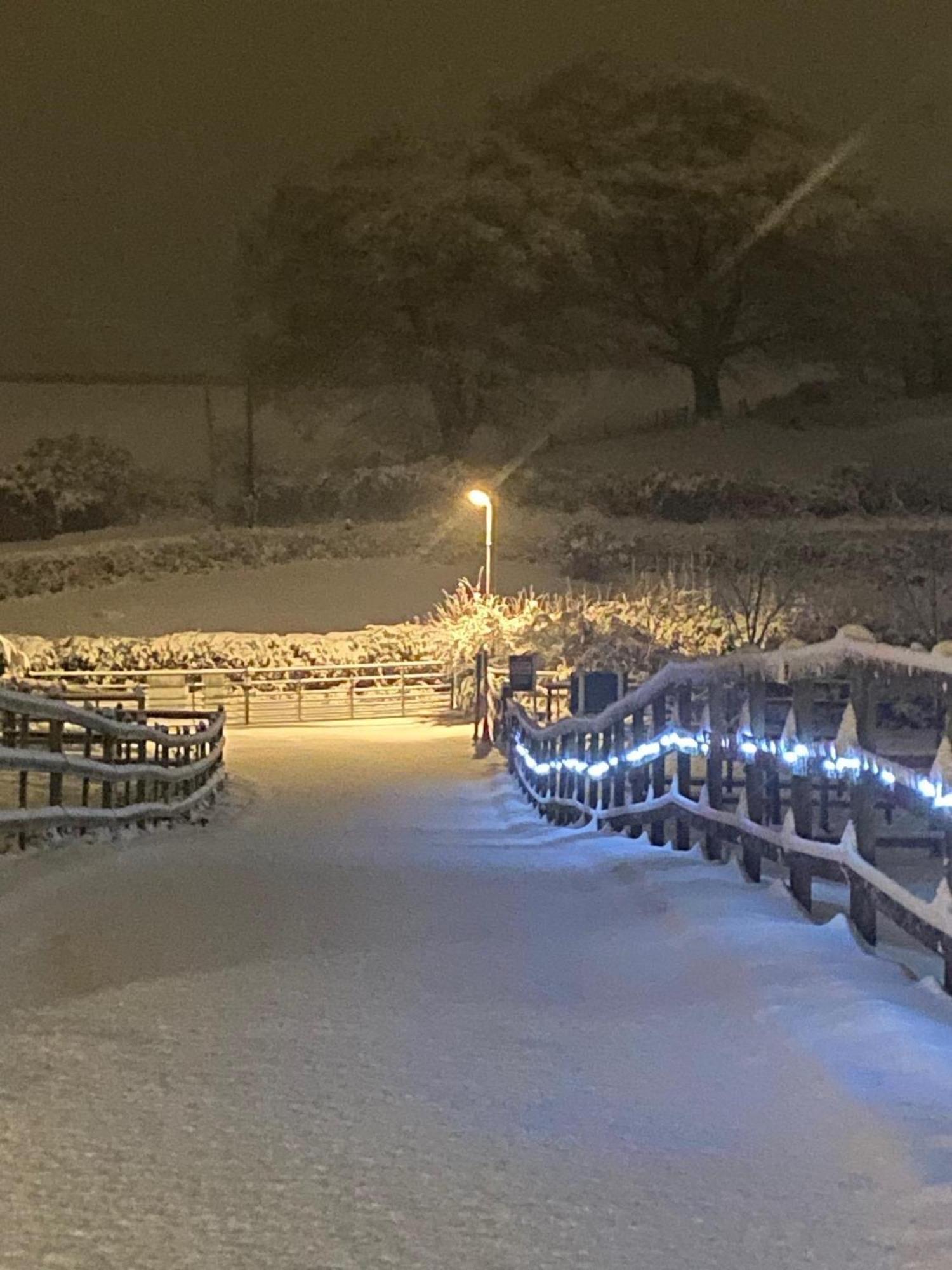 Fairview Farm Holiday Accommodation 14 Luxury Lodges, Cabins, Dog Friendly, Suitable For Couples, Families And Groups, Wedding Guests , Corporate Events, Sleeps 2-65 Guests In Ravenshead, Nottingham Near Sherwood Forest, Set In 88 Acres Esterno foto