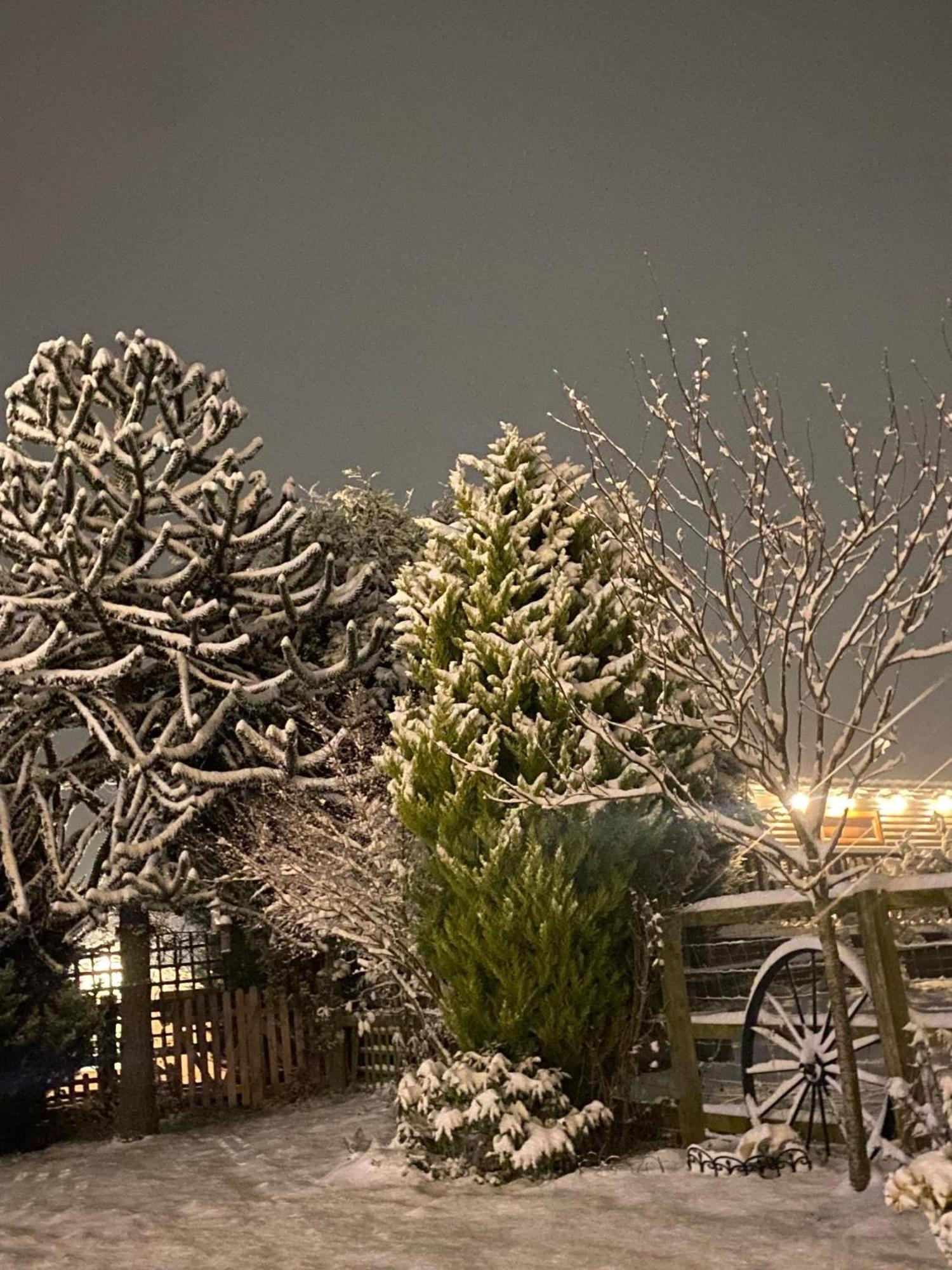 Fairview Farm Holiday Accommodation 14 Luxury Lodges, Cabins, Dog Friendly, Suitable For Couples, Families And Groups, Wedding Guests , Corporate Events, Sleeps 2-65 Guests In Ravenshead, Nottingham Near Sherwood Forest, Set In 88 Acres Esterno foto